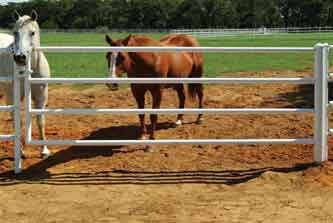 Livestock Fences