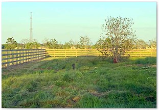 Four rail horse fence