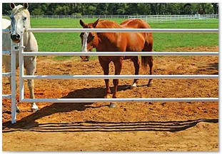 Hinge less gate for horse fence