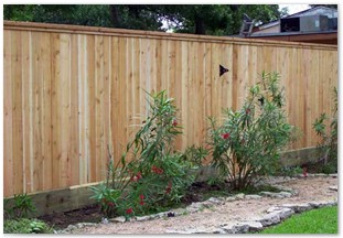 7ft Capped western red cedar fence before stain